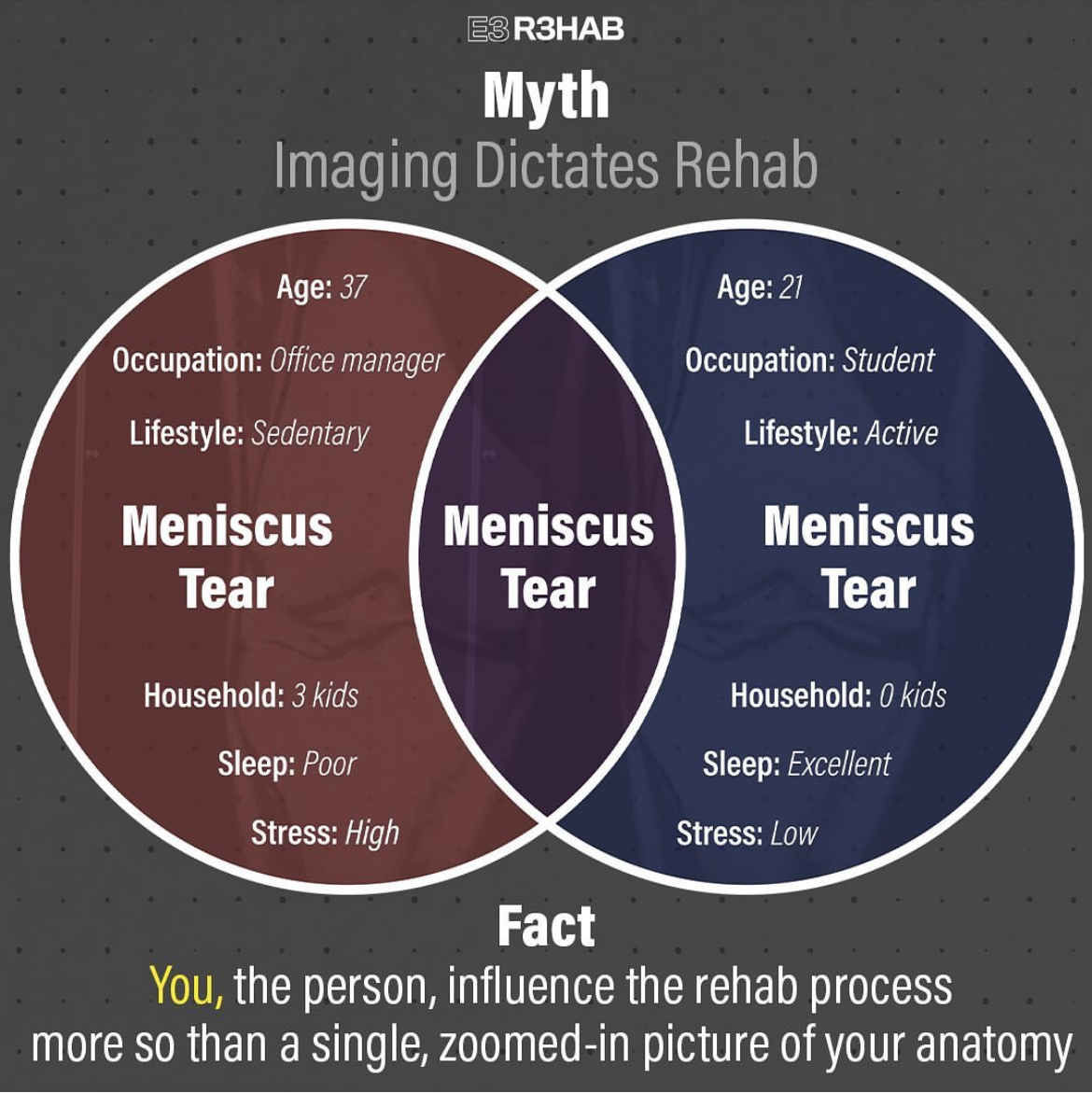 venn diagram